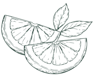 Two hand-drawn citrus slices overlap, with several leaves attached to the top slice. The illustration is done in a simple, black line art style on a white background.