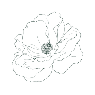 A simple line drawing of a single blooming flower with layered petals and a detailed center, depicted in black outline on a plain white background.